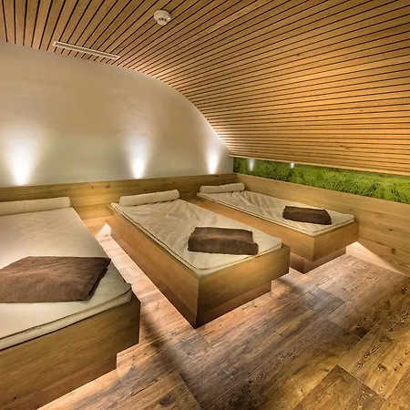 アルプホテル ホテル 4*