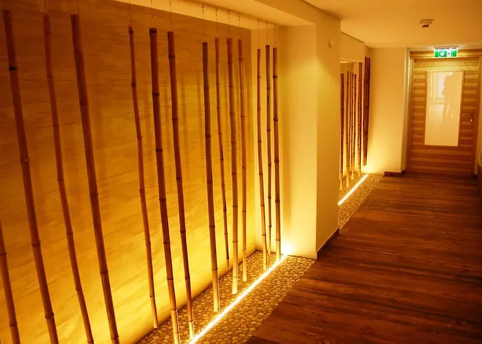 Alphotel 4* אינסברוק